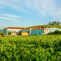 Multi-day & Extended Tours