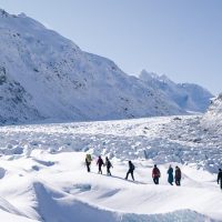 Half-day Tours