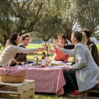 Wine Tasting & Winery Tours