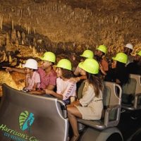 Eco Tours
