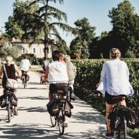 Half-day Tours