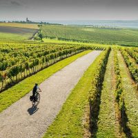 Bike & Mountain Bike Tours
