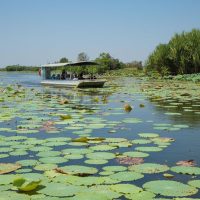 Luxury Tours
