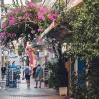 Street Food Tours