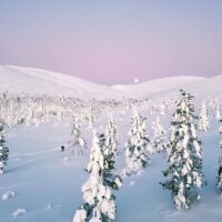 Day Trips & Excursions