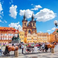 Cruises, Sailing & Water Tours