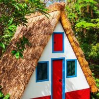 Bus & Minivan Tours