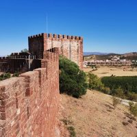 Bus & Minivan Tours