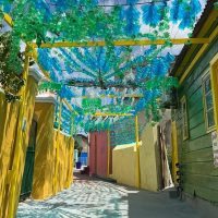 Cultural Tours