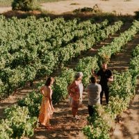 Holiday & Seasonal Tours