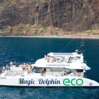 Catamaran Cruises