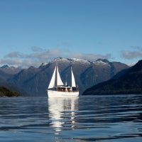 Day Cruises