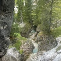 Holiday & Seasonal Tours