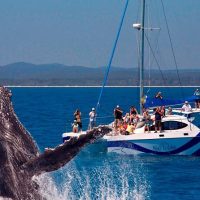 Cruises, Sailing & Water Tours