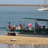 Catamaran Cruises