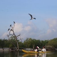Cruises, Sailing & Water Tours
