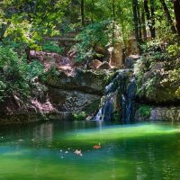 Wine Tasting & Winery Tours