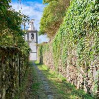 Cultural Tours