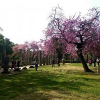 Historical & Heritage Tours