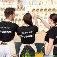 Luxury Tours