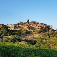 Wine Tasting & Winery Tours