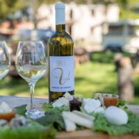 Wine Tasting & Winery Tours