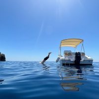 Boat Rentals