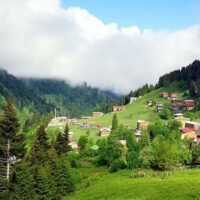 Full-day Tours