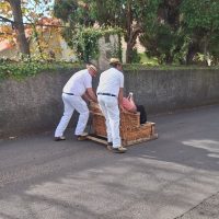 Trolley Tours