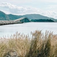 Shore Excursions