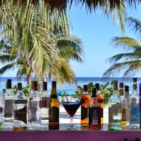 Shore Excursions
