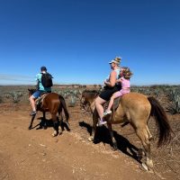 Half-day Tours