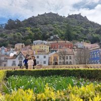 Shore Excursions