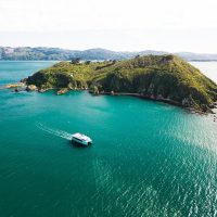 Day Cruises