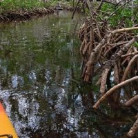 Self-guided Tours & Rentals