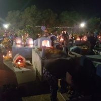 Holiday & Seasonal Tours