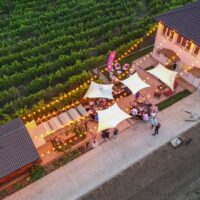 Food, Wine & Nightlife