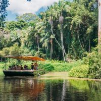 Luxury Tours