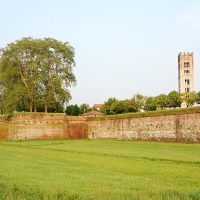 Private & Custom Tours