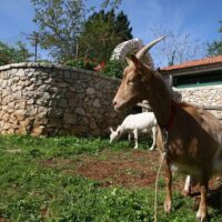 Bike & Mountain Bike Tours