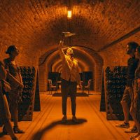 Wine Tasting & Winery Tours