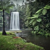 Cultural Tours