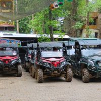 Safaris
