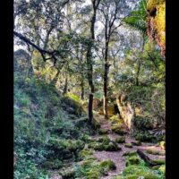 Hiking & Camping