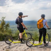 Half-day Tours