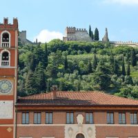 Half-day Tours