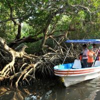 Cultural Tours