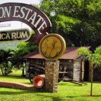 Plantation Tours