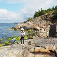 Bus & Minivan Tours