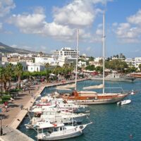 Bus & Minivan Tours